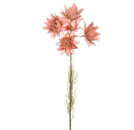 SERRURIA SPRAY 64CM PEACH