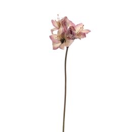LARGE AMARYLLIS 80CM LILAC