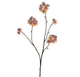 ASTRANTIA BRANCH 70CM BEIGE