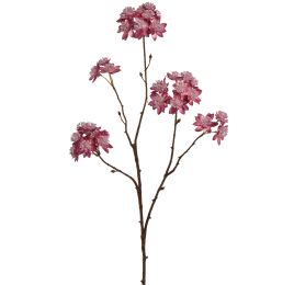 ASTRANTIA BRANCH 70CM BURGUNDY