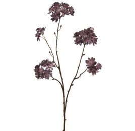 ASTRANTIA BRANCH 70CM TAUPE