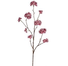 LARGE ASTRANTIA BRANCH 110CM BURGUNDY