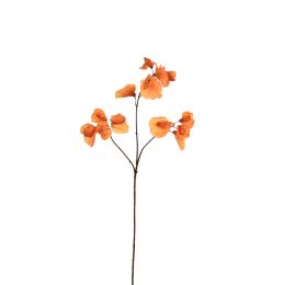 SWEET PEA 66CM ORANGE