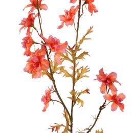 DELPHINIUM 95CM CORAL
