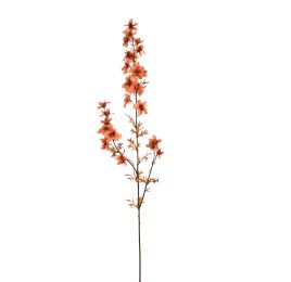 DELPHINIUM 95CM ORANGE