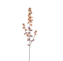 DELPHINIUM 95CM PEACH