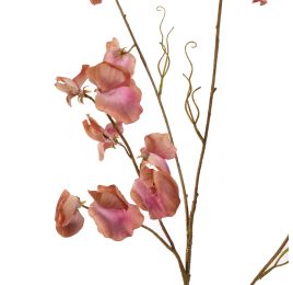 SWEET PEA 117CM MAUVE