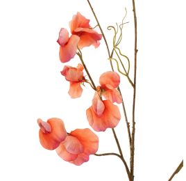 SWEET PEA 117CM ORANGE