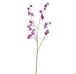 SWEET PEA 117CM PURPLE