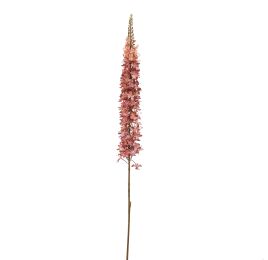 EREMURUS 109CM MAUVE
