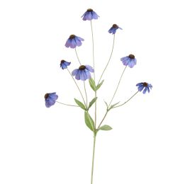 RUDBECKIA SPRAY 88CM BLUE