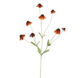 RUDBECKIA SPRAY 88CM BROWN