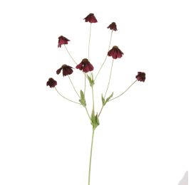 RUDBECKIA SPRAY 88CM BURGUNDY