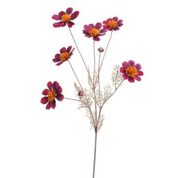 COSMOS SPRAY 92CM BURGUNDY