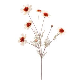 COSMOS SPRAY 92CM CREAM