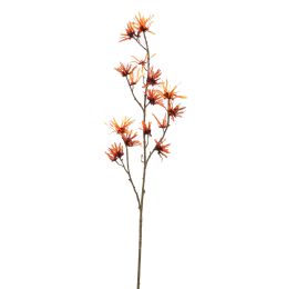 HAMAMELIS 98CM ORANGE