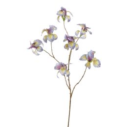 IRIS SPRAY 113CM BLUE