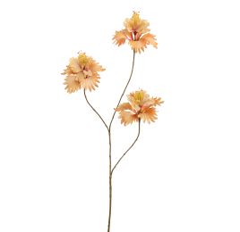 HIBISCUS 89CM BROWN