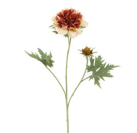 SCABIOSA FLOWER 79CM AMBER
