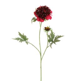 SCABIOSA FLOWER 79CM BORDEAUX