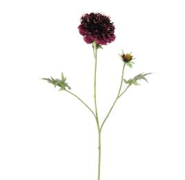 SCABIOSA FLOWER 79CM PURPLE