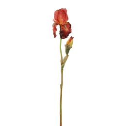IRIS SPRAY 79CM BROWN