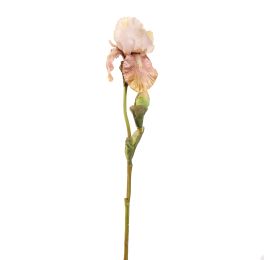 IRIS SPRAY 79CM PEACH