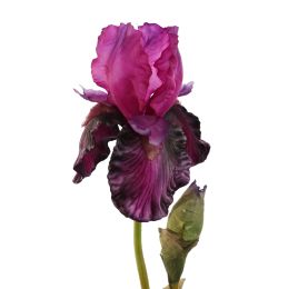 IRIS SPRAY 79CM PURPLE