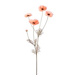 COSMOS SPRAY 92CM SALMON