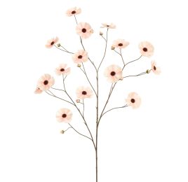 COSMOS SPRAY 124CM PEACH