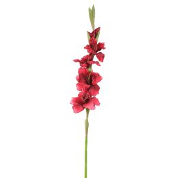GLADIOLUS 85CM BURGUNDY