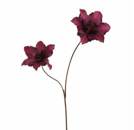 DOUBLE AMARYLLIS 86CM AUBERGINE