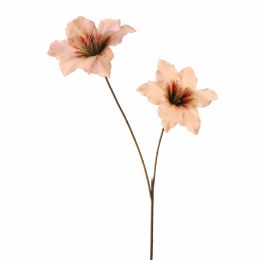 DOUBLE AMARYLLIS 86CM PEACH