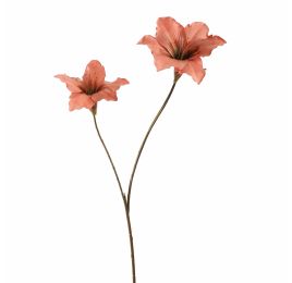 DOUBLE AMARYLLIS 86CM SALMON