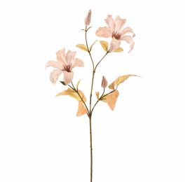 CLEMATIS 65CM BEIGE