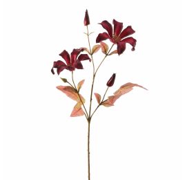CLEMATIS 65CM BURGUNDY