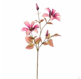CLEMATIS 65CM LAVENDER