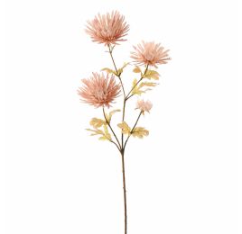 SPIDER GERBERA 65CM BEIGE