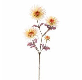 SPIDER GERBERA 65CM CREAM PINK
