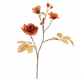 ROSE BERRY 85CM BROWN