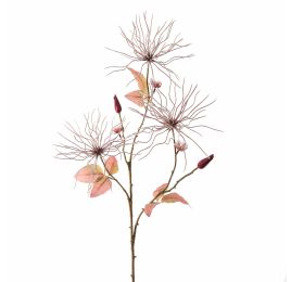WILD CLEMATIS 75CM BURGUNDY