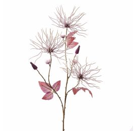 WILD CLEMATIS 75CM PURPLE