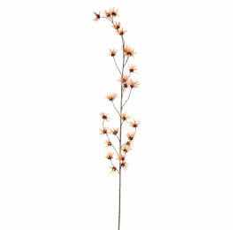 HAMAMELIS 153CM ORANGE
