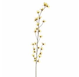 HAMAMELIS 153CM YELLOW