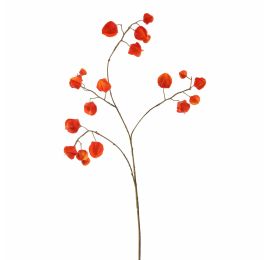 HOUZUKI 92CM ORANGE