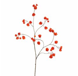 HOUZUKI 125CM ORANGE