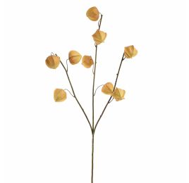 HOUZUKI FRUIT 105CM AMBER