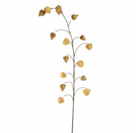 HOUZUKI FRUIT 145CM AMBER