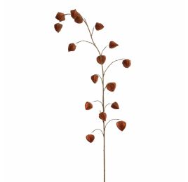 HOUZUKI FRUIT 145CM BROWN