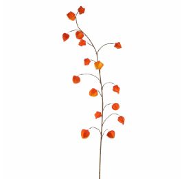 HOUZUKI FRUIT 145CM ORANGE